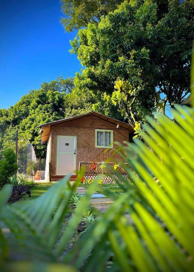 Hotel O Royal Tree Cafe And Resort Dehradun Eksteriør billede