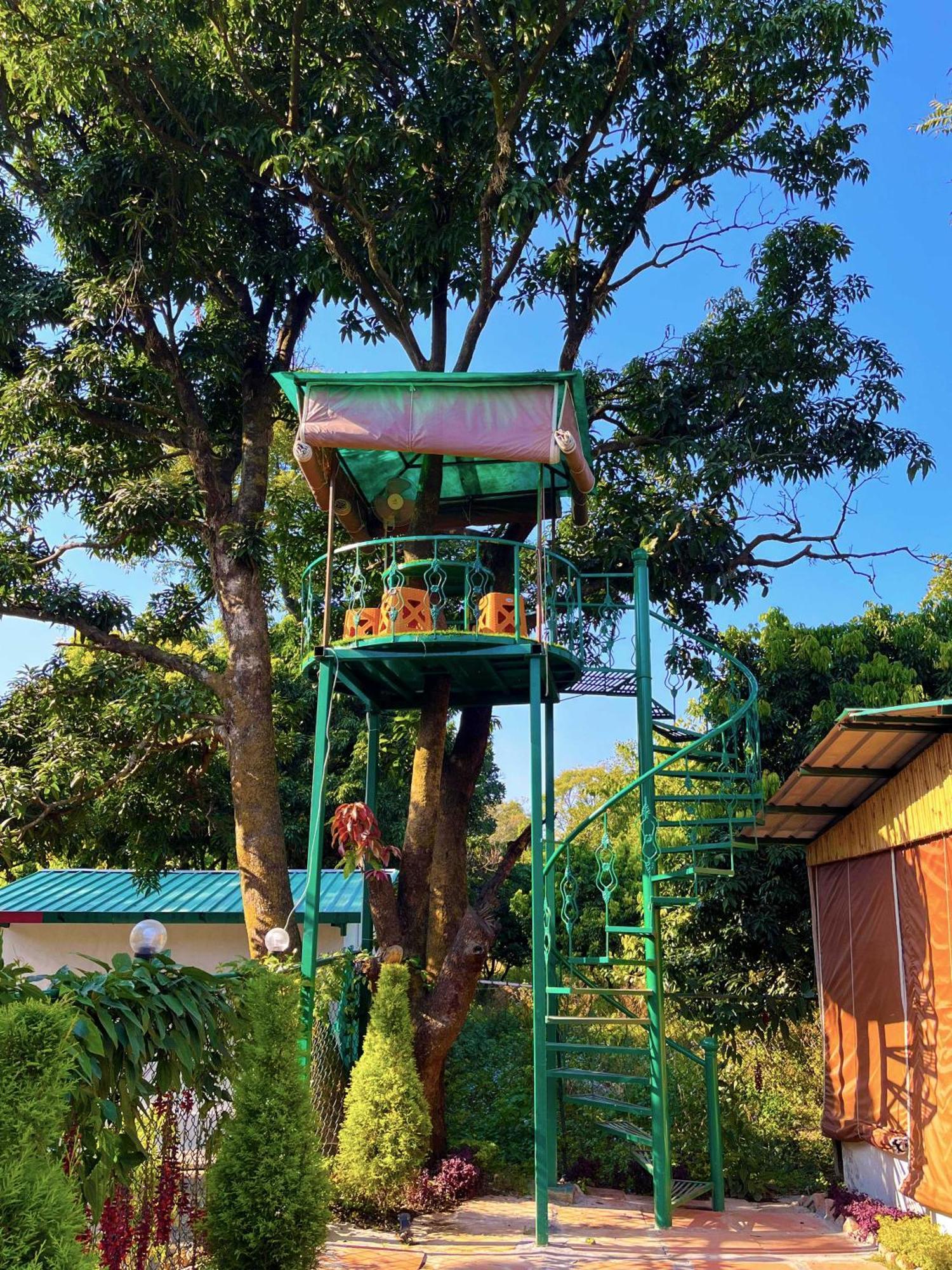 Hotel O Royal Tree Cafe And Resort Dehradun Eksteriør billede